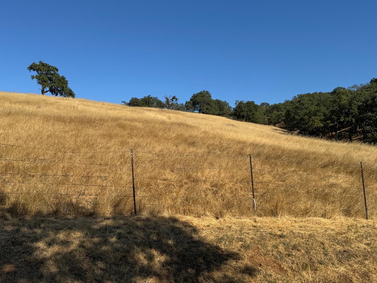 Detail Gallery Image 3 of 8 For 0 W San Martin Ave, San Martin,  CA 95046 - – Beds | – Baths