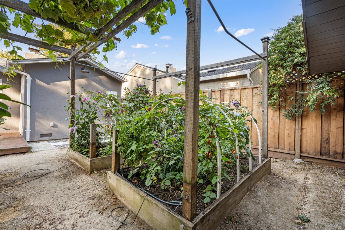 Detail Gallery Image 49 of 73 For 856 15th Ave, Menlo Park,  CA 94025 - 3 Beds | 2 Baths