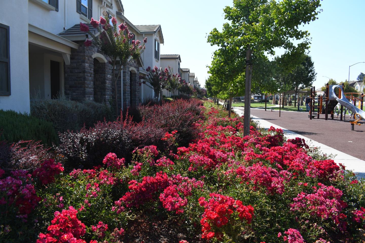Detail Gallery Image 5 of 8 For 19051 Chicory Ln, Morgan Hill,  CA 95037 - 4 Beds | 2/1 Baths