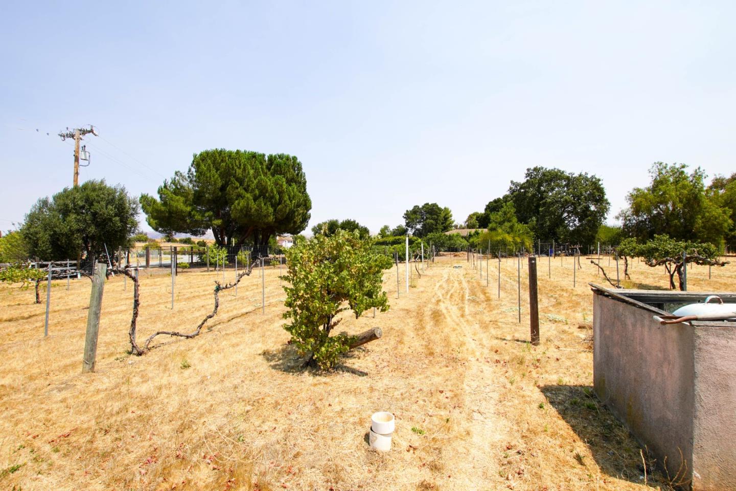 Detail Gallery Image 36 of 36 For 6460 Cabernet Dr, Hollister,  CA 95023 - 4 Beds | 2/1 Baths