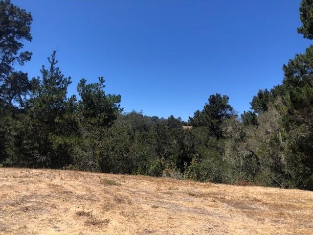 Detail Gallery Image 3 of 17 For 7735 Paseo Venado (Lot 82), Monterey,  CA 93940 - – Beds | – Baths