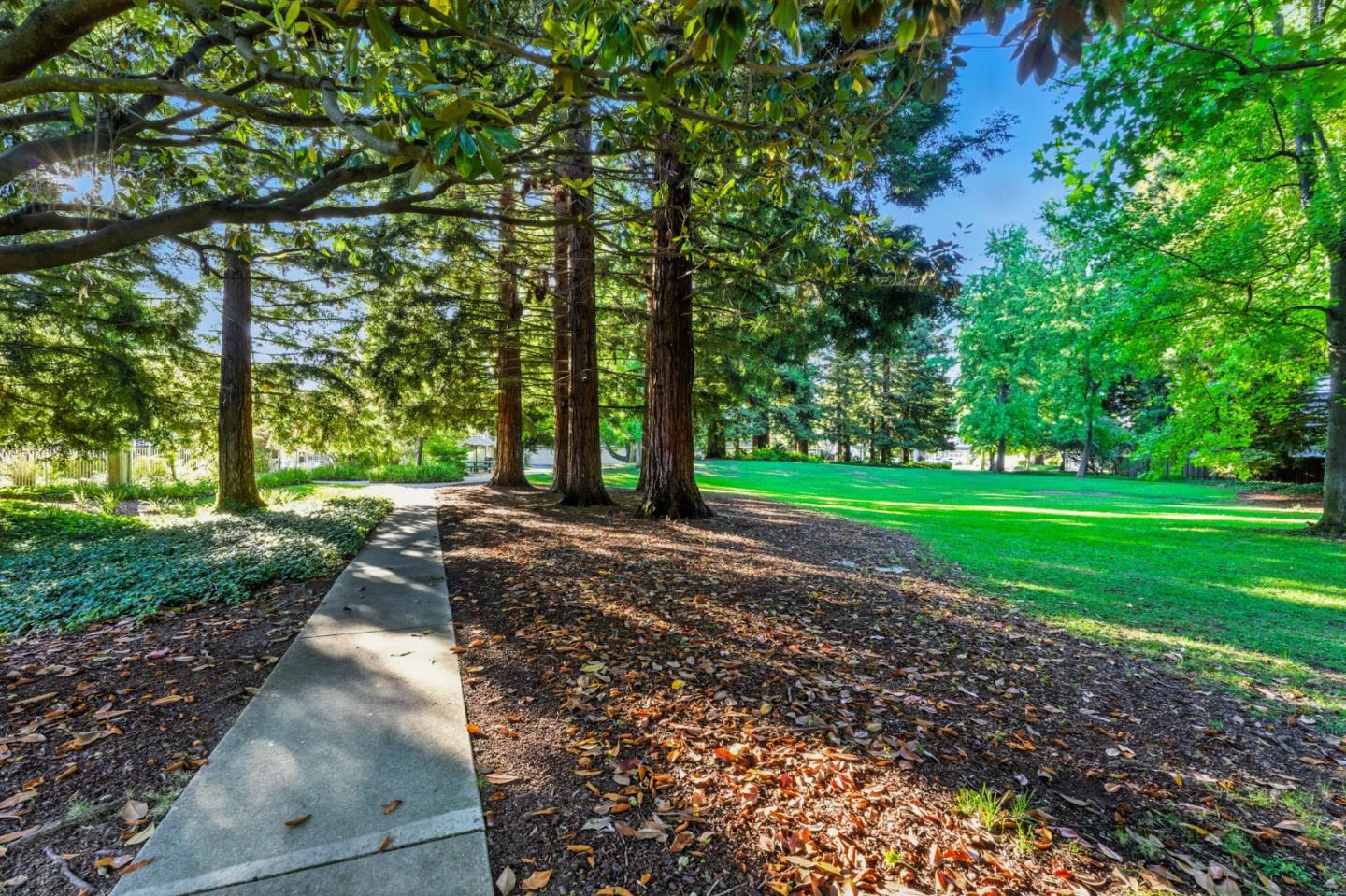 Detail Gallery Image 45 of 55 For 213 Yarborough Ln, Redwood City,  CA 94061 - 4 Beds | 3 Baths