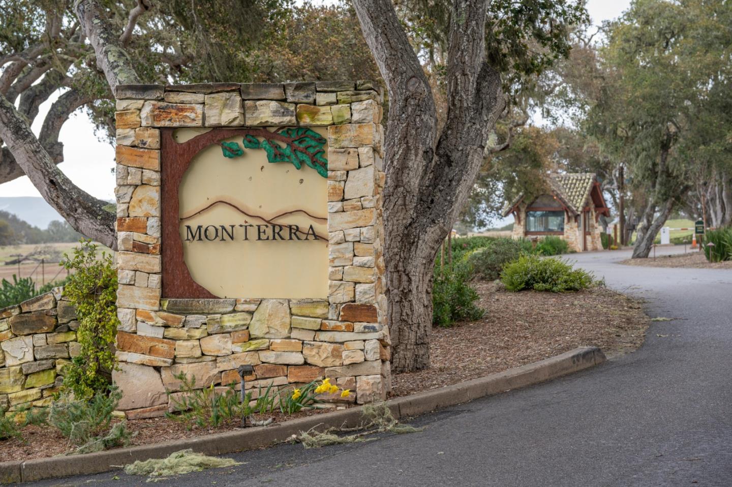Detail Gallery Image 20 of 20 For 24545 via Malpaso (Lot 94), Monterey,  CA 93940 - – Beds | – Baths