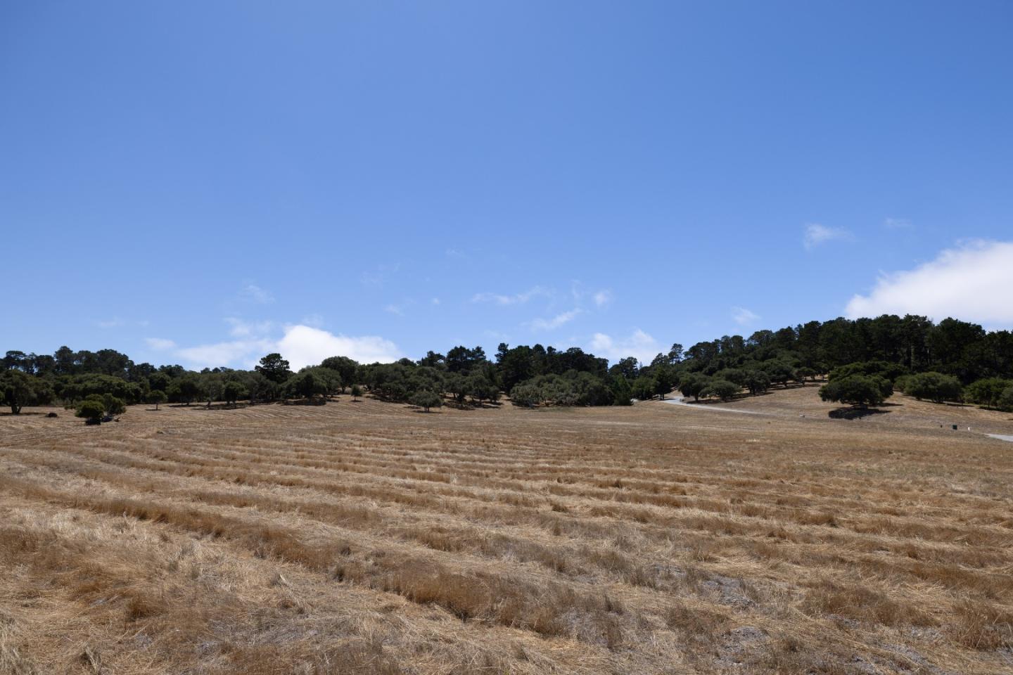 Detail Gallery Image 8 of 20 For 24545 via Malpaso (Lot 94), Monterey,  CA 93940 - – Beds | – Baths