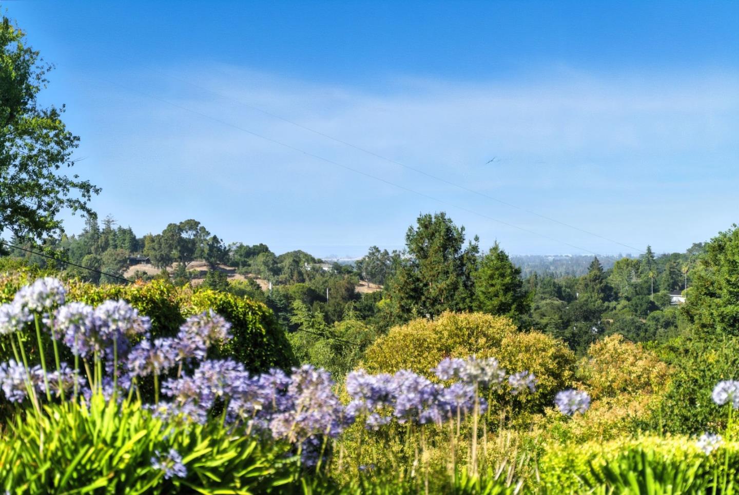 Detail Gallery Image 33 of 41 For 25850 Vinedo Ln, Los Altos Hills,  CA 94022 - 4 Beds | 3/1 Baths
