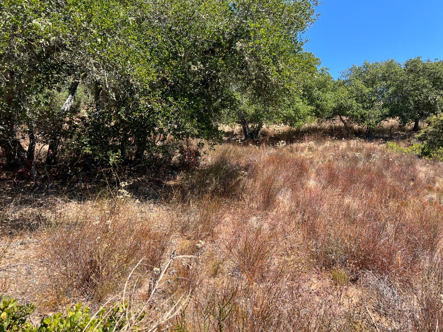 Detail Gallery Image 37 of 38 For 0 Country Club Heights, Carmel Valley,  CA 93924 - – Beds | – Baths