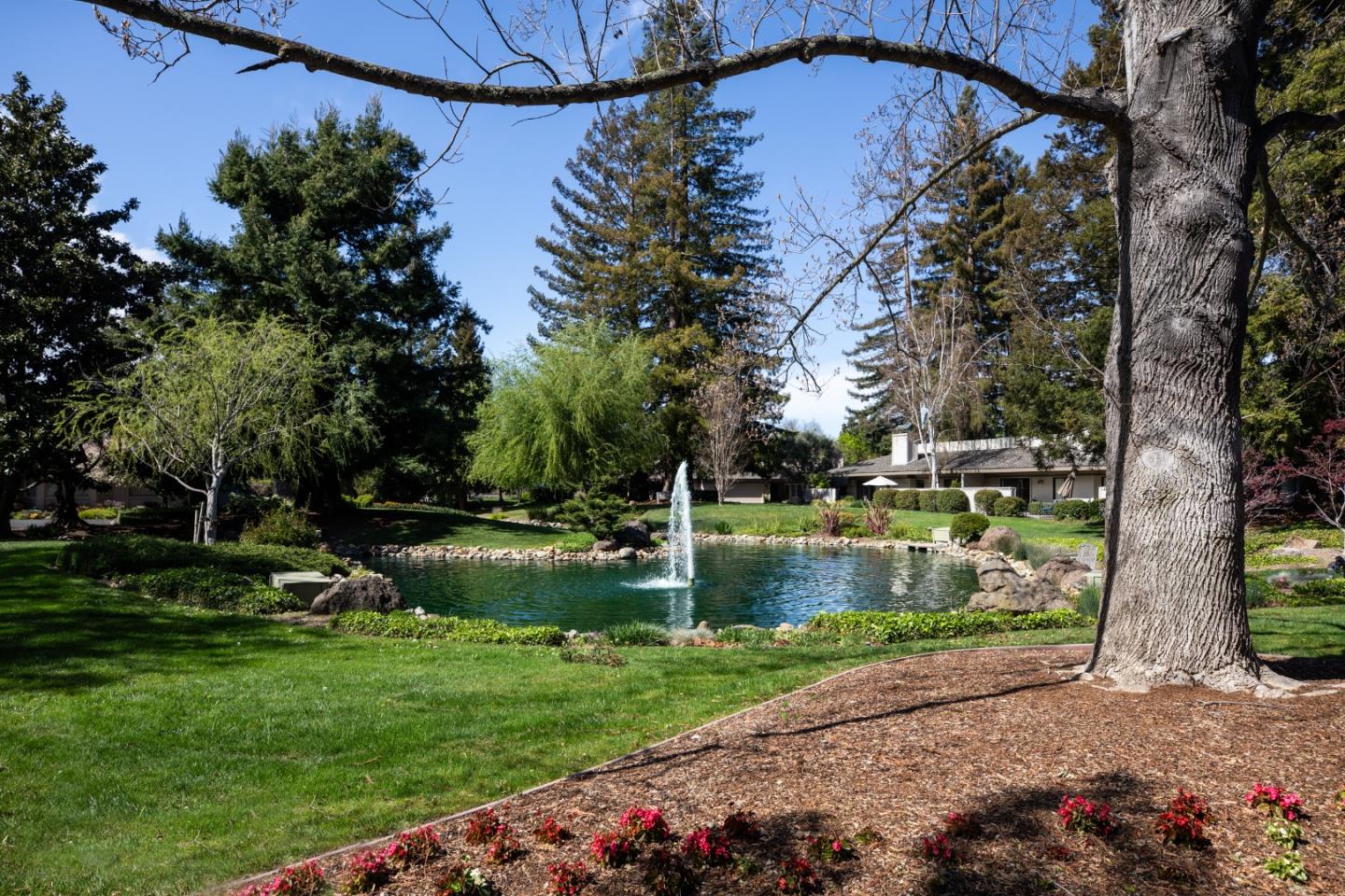 Detail Gallery Image 28 of 36 For 72 Bay Tree Ln, Los Altos,  CA 94022 - 2 Beds | 2 Baths