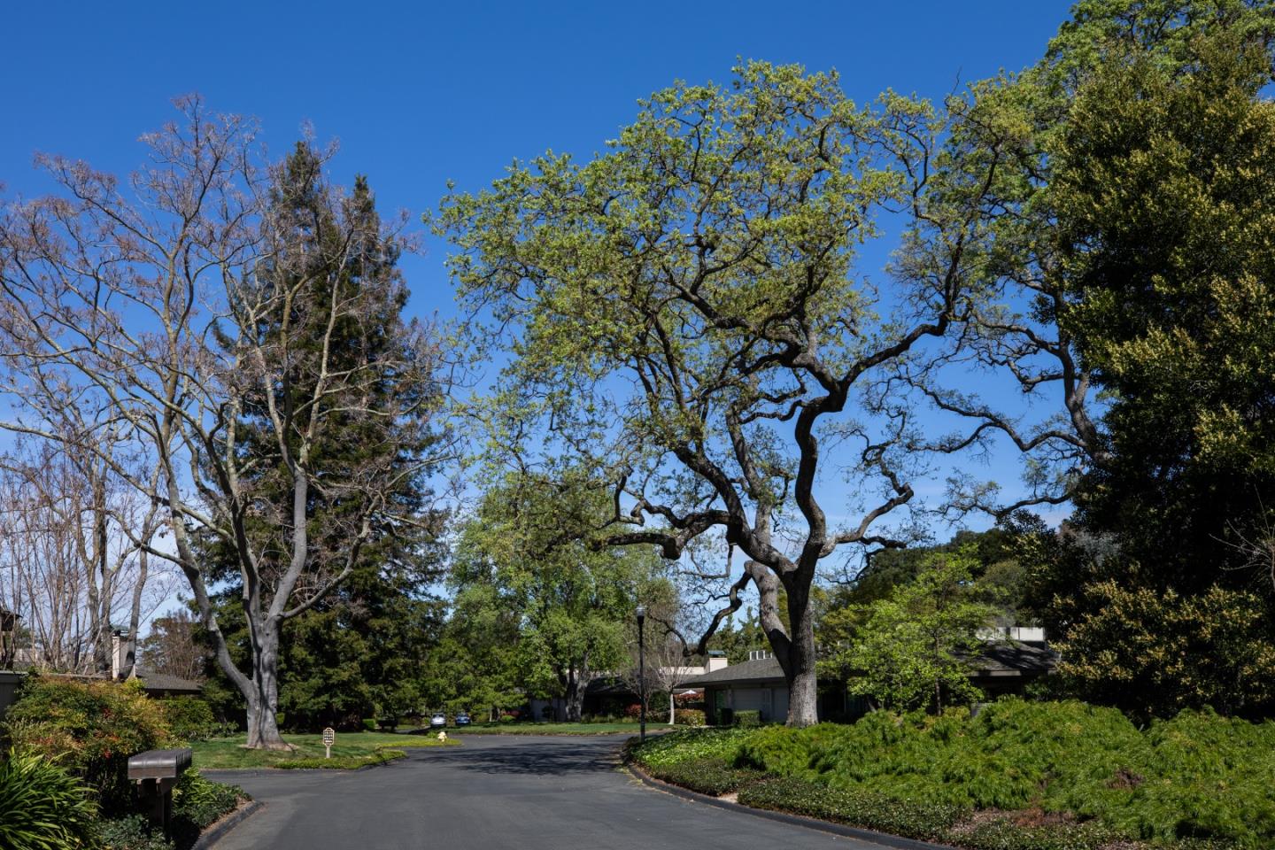 Detail Gallery Image 29 of 36 For 72 Bay Tree Ln, Los Altos,  CA 94022 - 2 Beds | 2 Baths