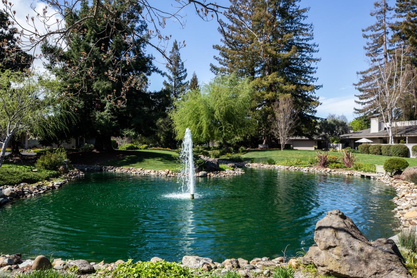Detail Gallery Image 31 of 36 For 72 Bay Tree Ln, Los Altos,  CA 94022 - 2 Beds | 2 Baths