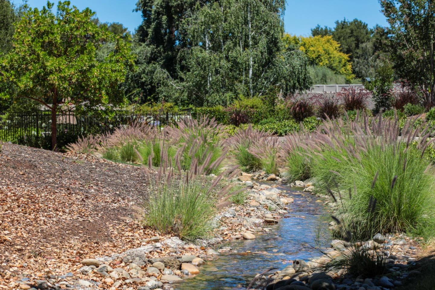 Detail Gallery Image 34 of 36 For 72 Bay Tree Ln, Los Altos,  CA 94022 - 2 Beds | 2 Baths