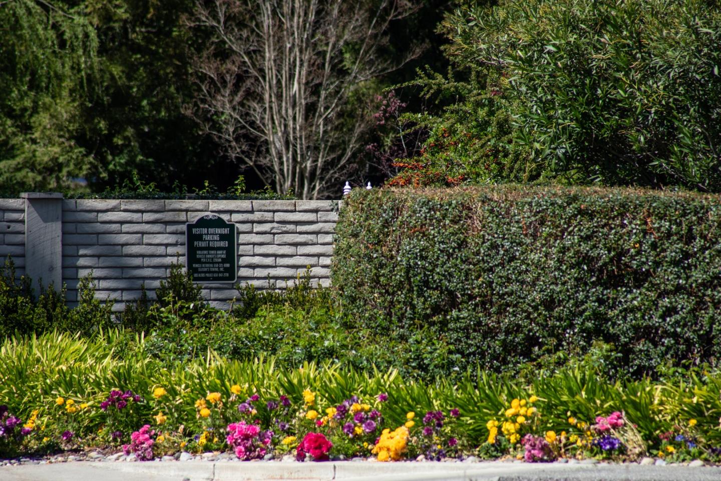 Detail Gallery Image 35 of 36 For 72 Bay Tree Ln, Los Altos,  CA 94022 - 2 Beds | 2 Baths
