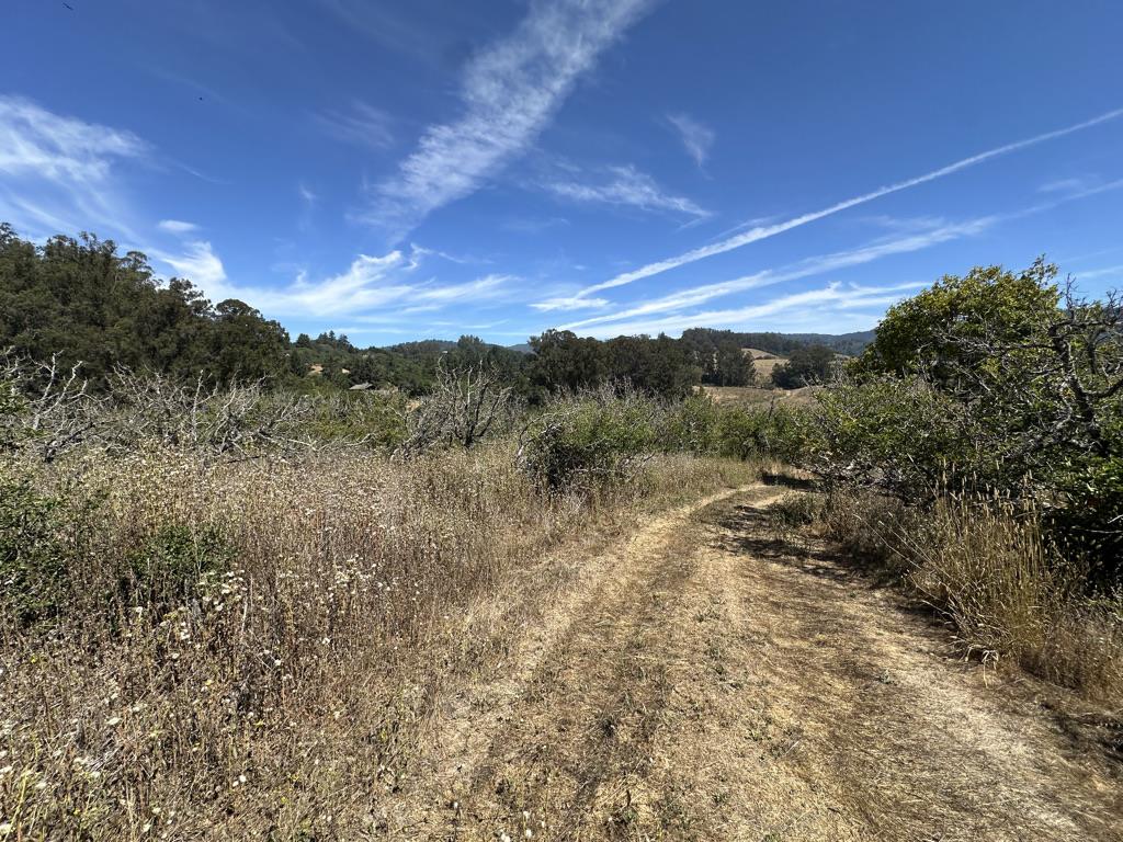 Detail Gallery Image 14 of 42 For 0 Sans Rd, Corralitos,  CA 95076 - – Beds | – Baths