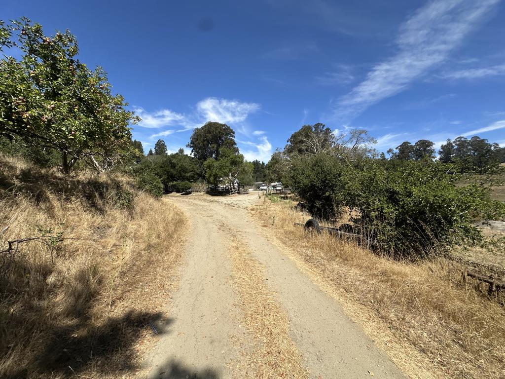 Detail Gallery Image 16 of 42 For 0 Sans Rd, Corralitos,  CA 95076 - – Beds | – Baths