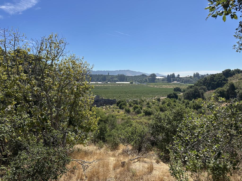 Detail Gallery Image 27 of 42 For 0 Sans Rd, Corralitos,  CA 95076 - – Beds | – Baths