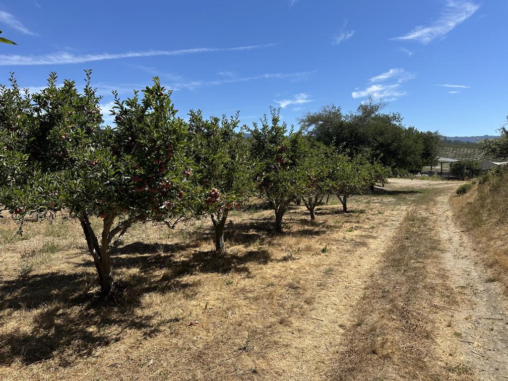 Detail Gallery Image 29 of 42 For 0 Sans Rd, Corralitos,  CA 95076 - – Beds | – Baths