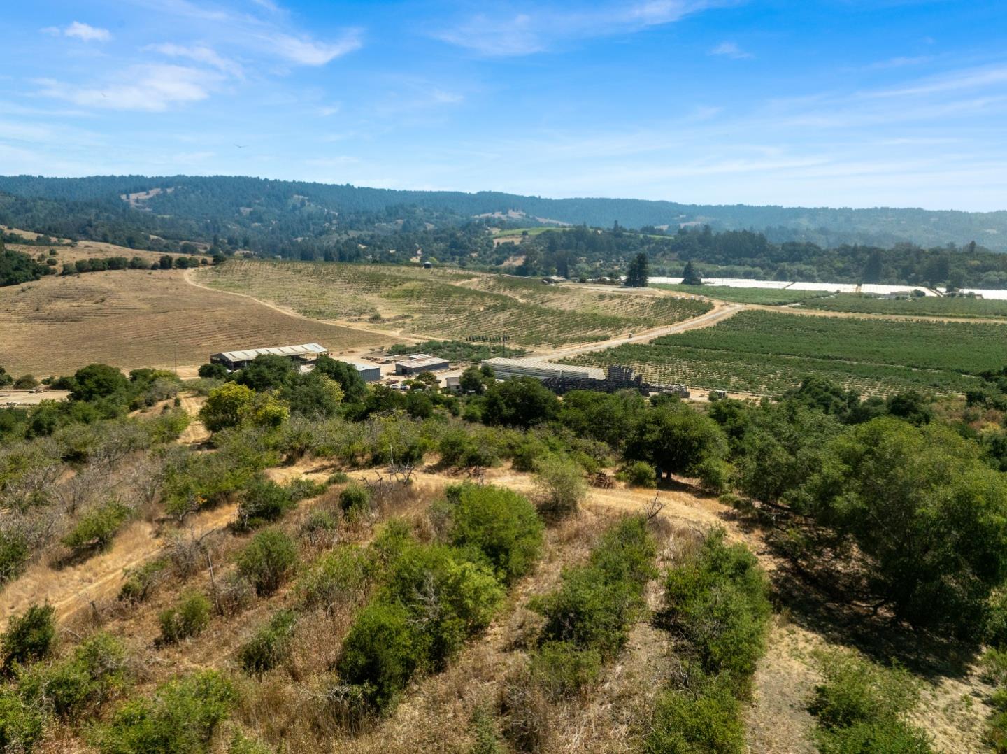 Detail Gallery Image 9 of 42 For 0 Sans Rd, Corralitos,  CA 95076 - – Beds | – Baths