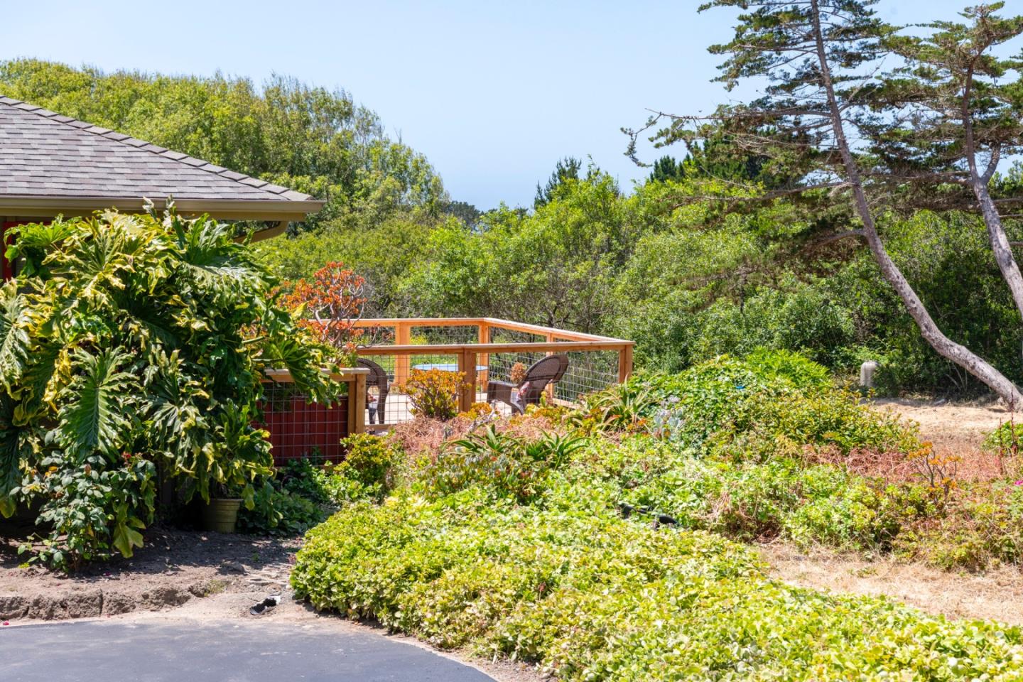 Detail Gallery Image 7 of 63 For 515 Bean Hollow Rd, Pescadero,  CA 94060 - 4 Beds | 3 Baths