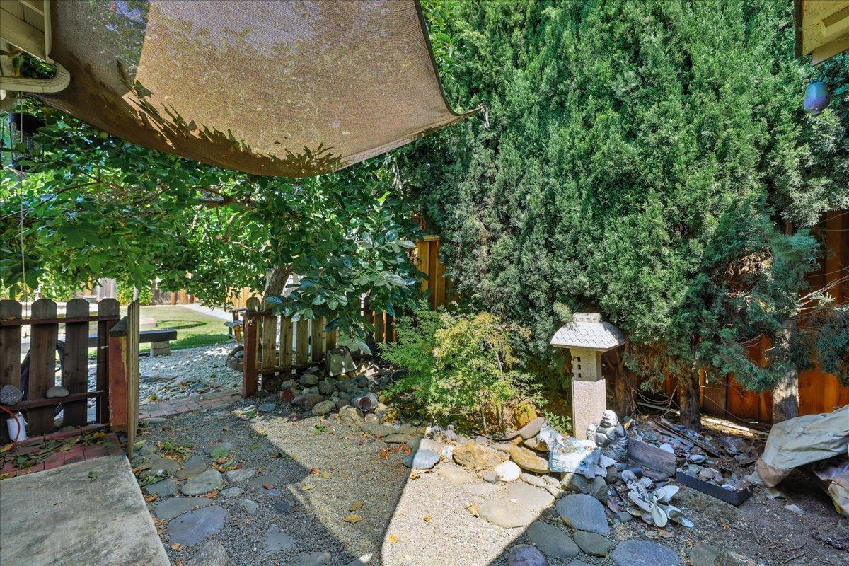 Detail Gallery Image 79 of 117 For 650 Ardis Ave, San Jose,  CA 95117 - 6 Beds | 4/1 Baths