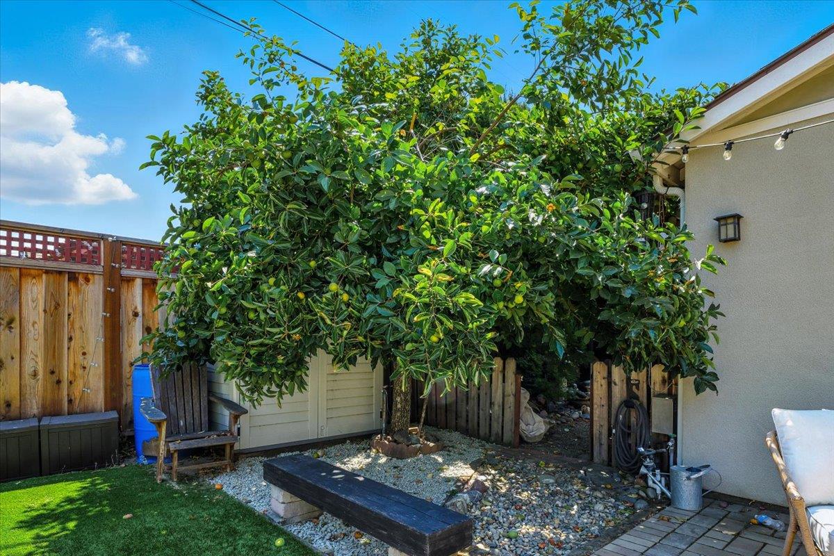 Detail Gallery Image 80 of 117 For 650 Ardis Ave, San Jose,  CA 95117 - 6 Beds | 4/1 Baths