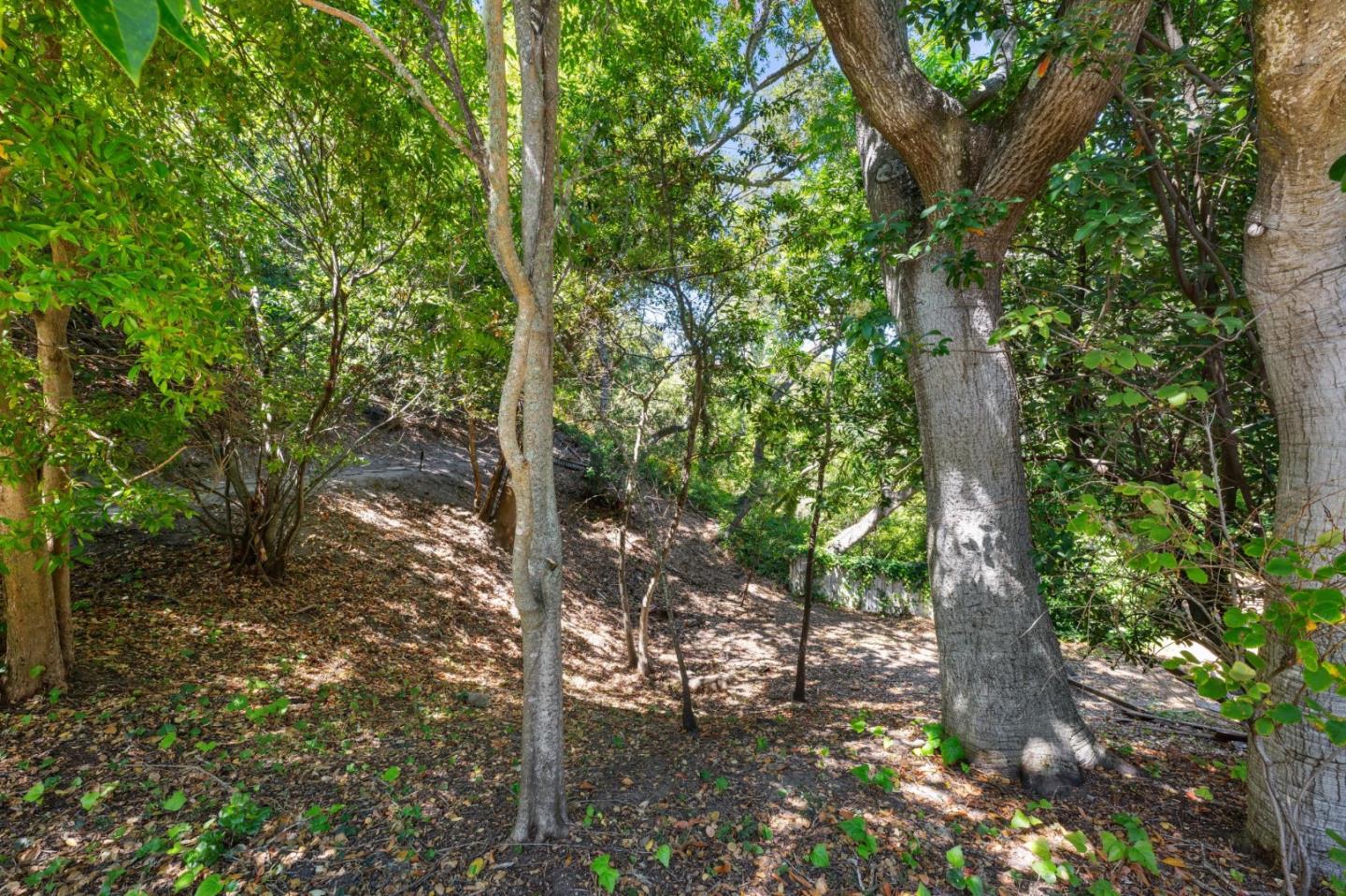 Detail Gallery Image 42 of 43 For 4 Corte Camellia, Millbrae,  CA 94030 - 2 Beds | 1/1 Baths