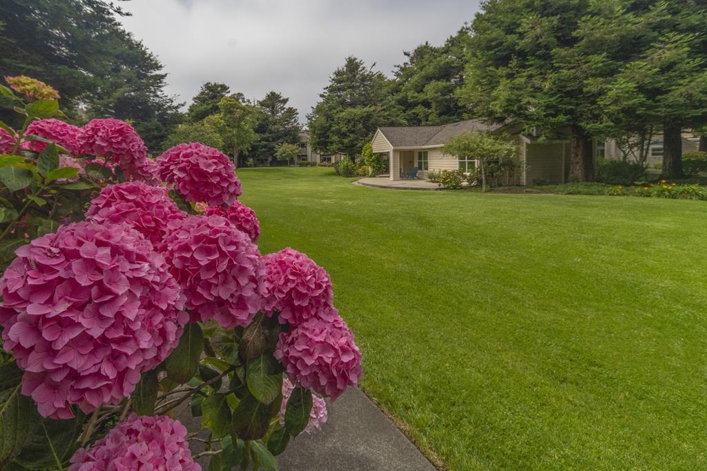 Detail Gallery Image 26 of 39 For 230 Amesport Lndg, Half Moon Bay,  CA 94019 - 2 Beds | 1 Baths
