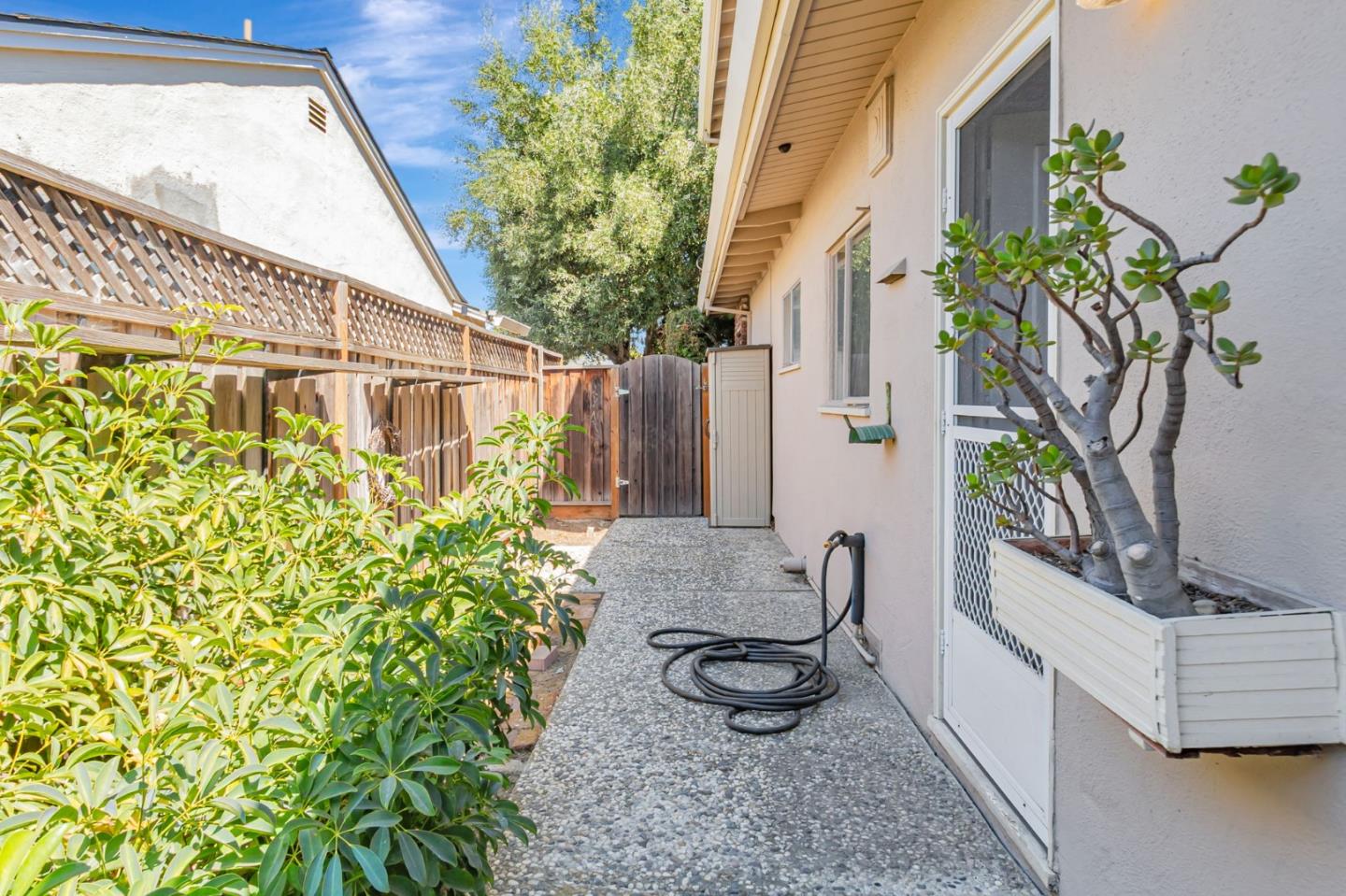 Detail Gallery Image 53 of 55 For 1461 Norman Ave, San Jose,  CA 95125 - 4 Beds | 2/1 Baths