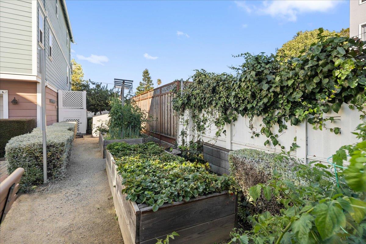 Detail Gallery Image 26 of 33 For 11 Tidal Way, San Mateo,  CA 94401 - 3 Beds | 2/1 Baths