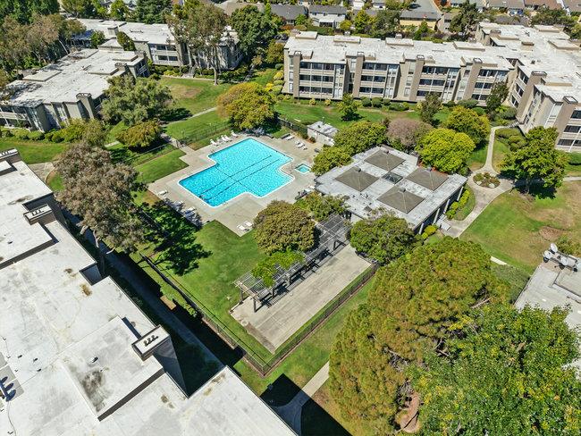 Detail Gallery Image 47 of 54 For 1051 Beach Park Blvd #204,  Foster City,  CA 94404 - 1 Beds | 1 Baths