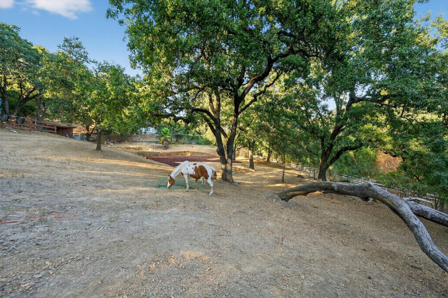 Detail Gallery Image 44 of 61 For 15098 Elm Park, Monte Sereno,  CA 95030 - 4 Beds | 2/1 Baths