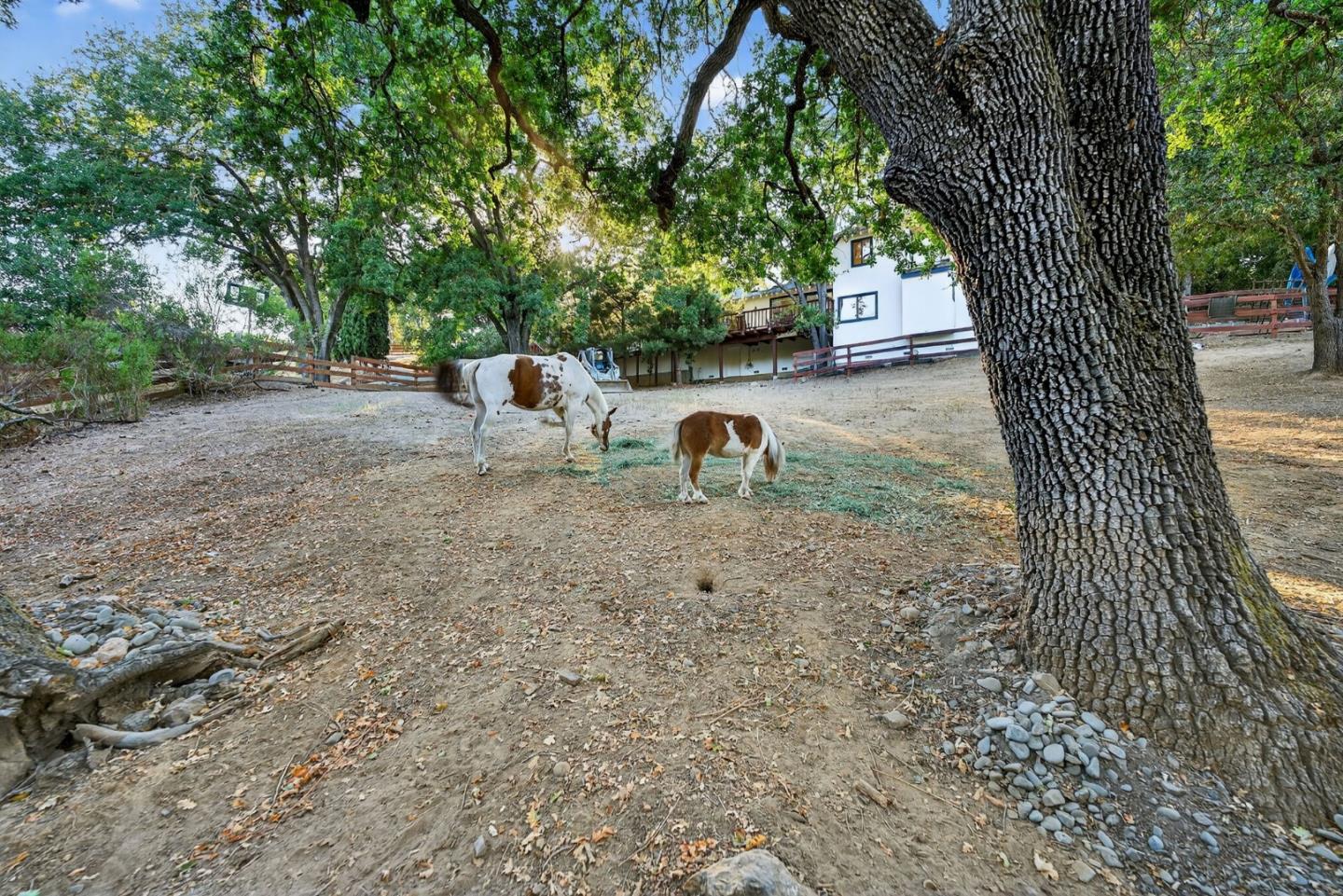 Detail Gallery Image 45 of 61 For 15098 Elm Park, Monte Sereno,  CA 95030 - 4 Beds | 2/1 Baths
