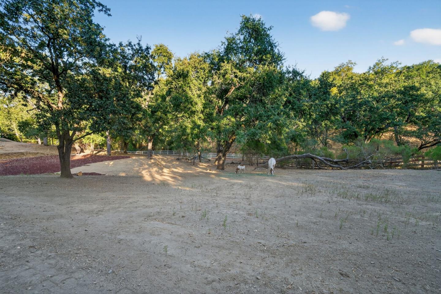 Detail Gallery Image 46 of 61 For 15098 Elm Park, Monte Sereno,  CA 95030 - 4 Beds | 2/1 Baths