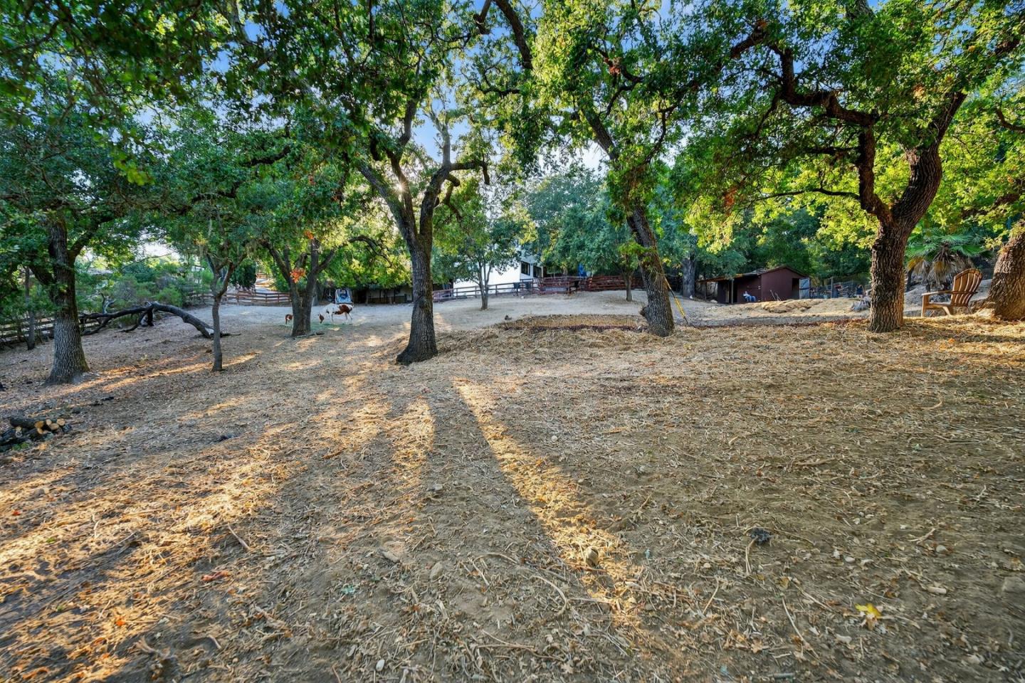 Detail Gallery Image 47 of 61 For 15098 Elm Park, Monte Sereno,  CA 95030 - 4 Beds | 2/1 Baths