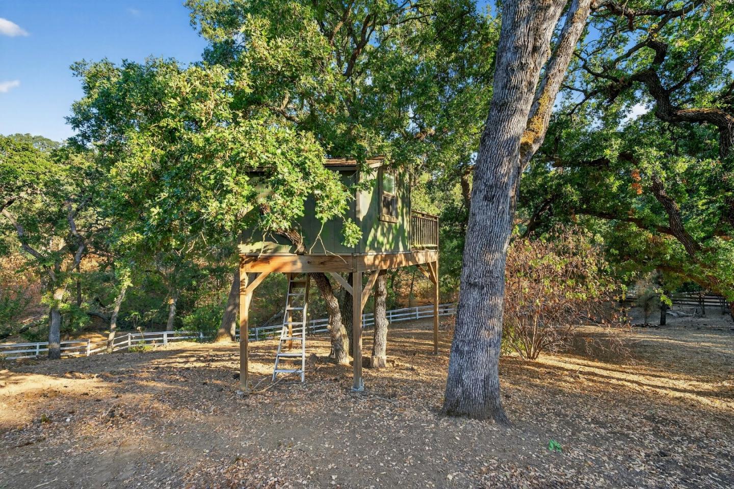 Detail Gallery Image 49 of 61 For 15098 Elm Park, Monte Sereno,  CA 95030 - 4 Beds | 2/1 Baths