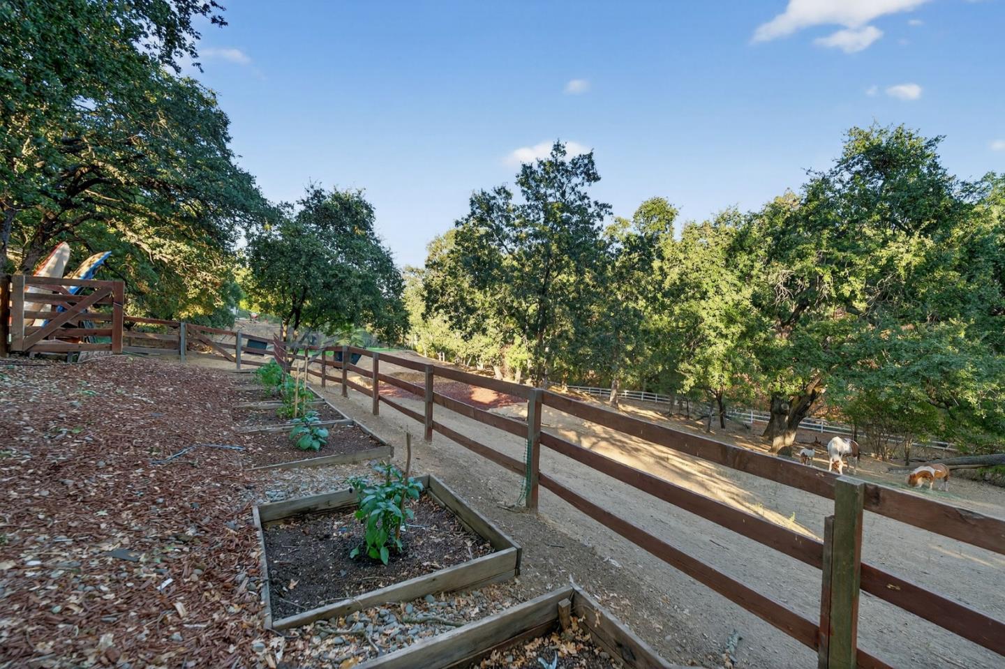 Detail Gallery Image 56 of 61 For 15098 Elm Park, Monte Sereno,  CA 95030 - 4 Beds | 2/1 Baths