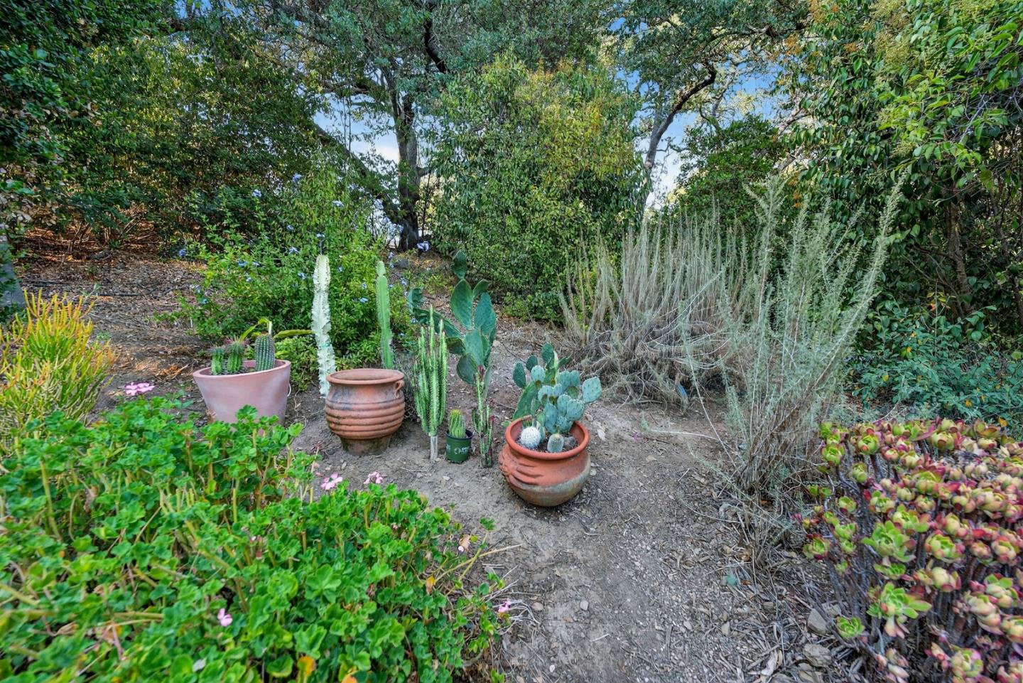 Detail Gallery Image 59 of 61 For 15098 Elm Park, Monte Sereno,  CA 95030 - 4 Beds | 2/1 Baths