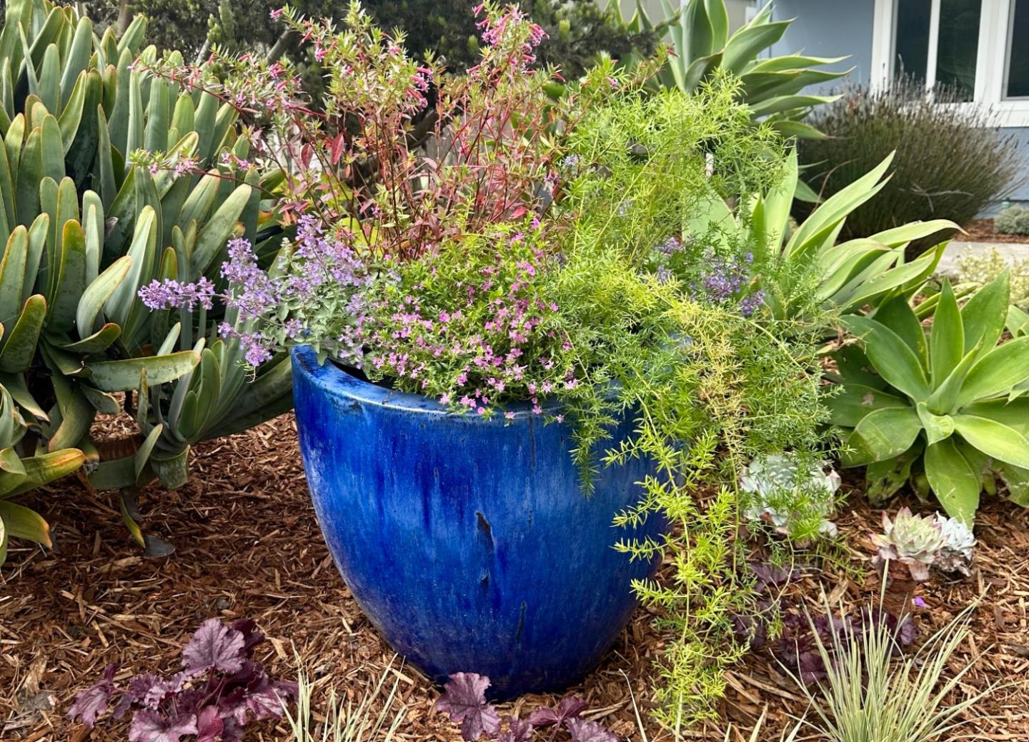 Detail Gallery Image 5 of 45 For 638 Alsace Lorraine Ave, Half Moon Bay,  CA 94019 - 3 Beds | 2 Baths