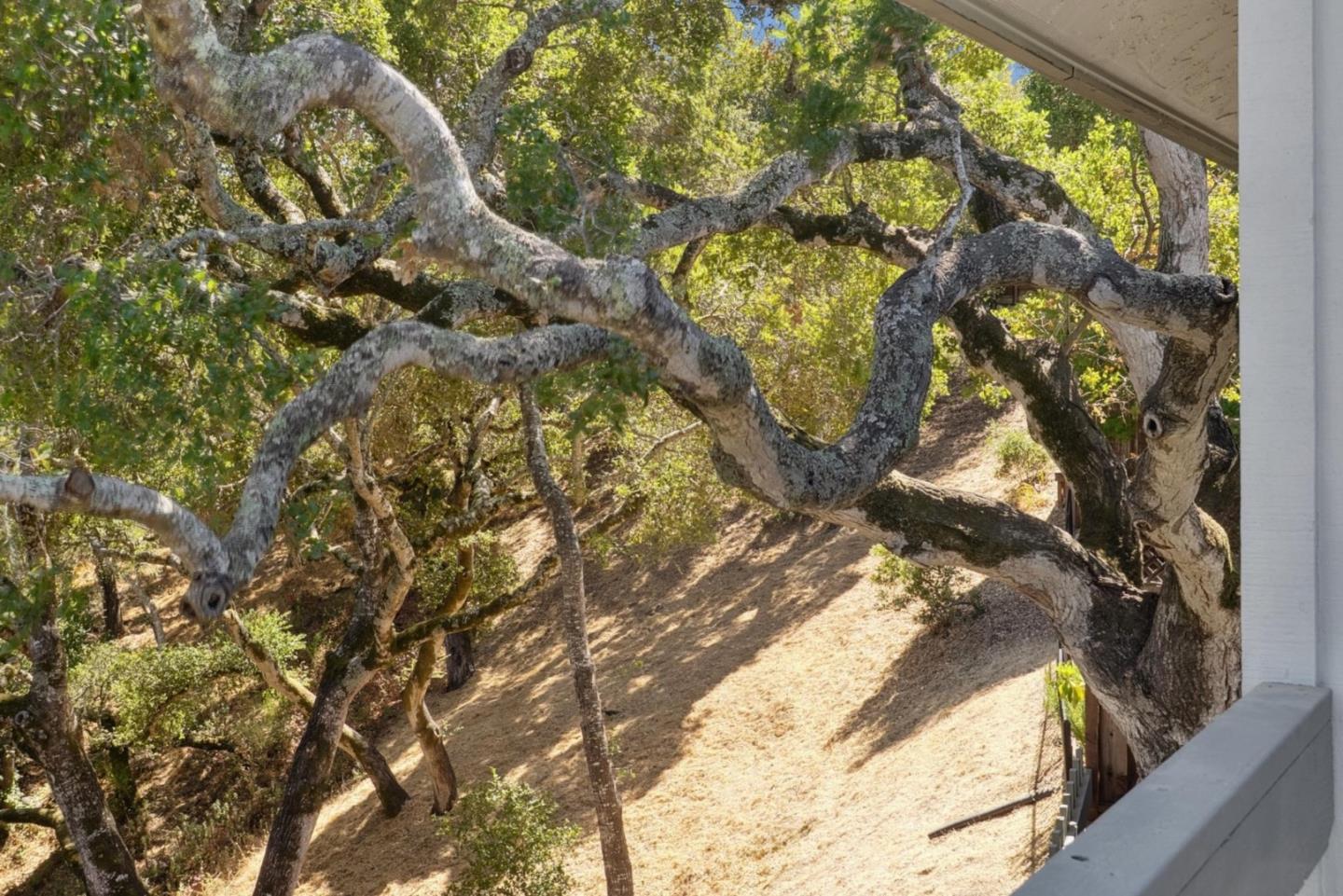Detail Gallery Image 56 of 103 For 1501 De Anza Blvd, San Mateo,  CA 94403 - 3 Beds | 2/1 Baths
