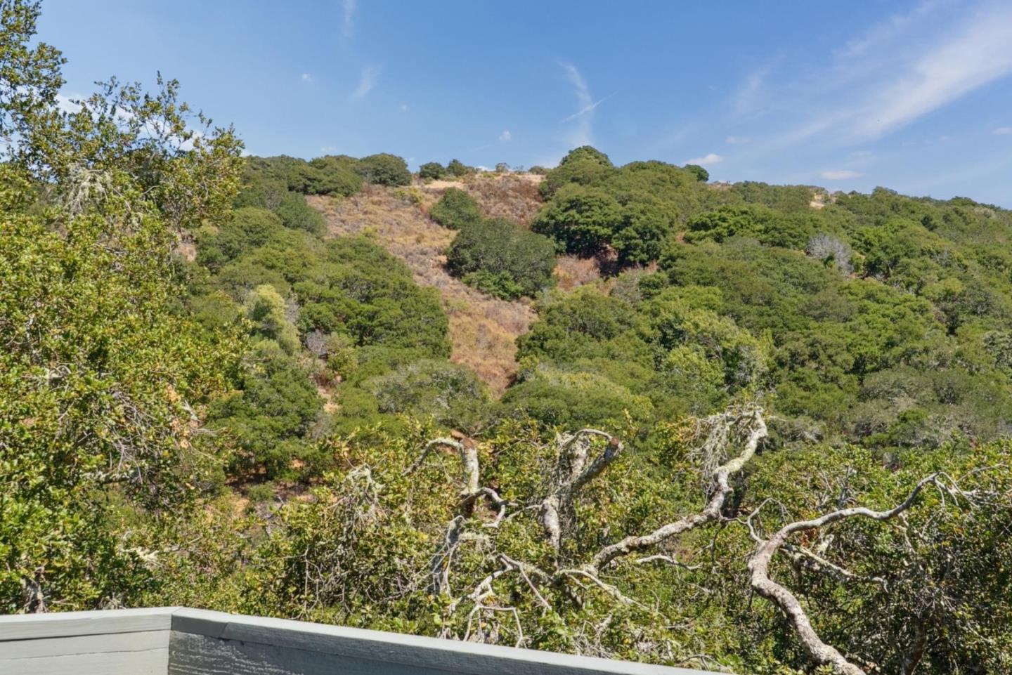 Detail Gallery Image 58 of 103 For 1501 De Anza Blvd, San Mateo,  CA 94403 - 3 Beds | 2/1 Baths