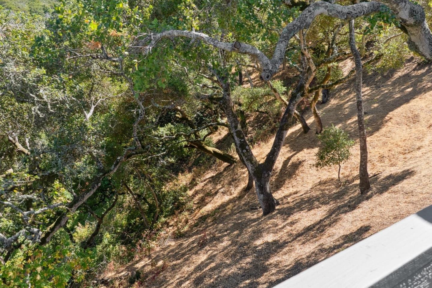 Detail Gallery Image 76 of 103 For 1501 De Anza Blvd, San Mateo,  CA 94403 - 3 Beds | 2/1 Baths
