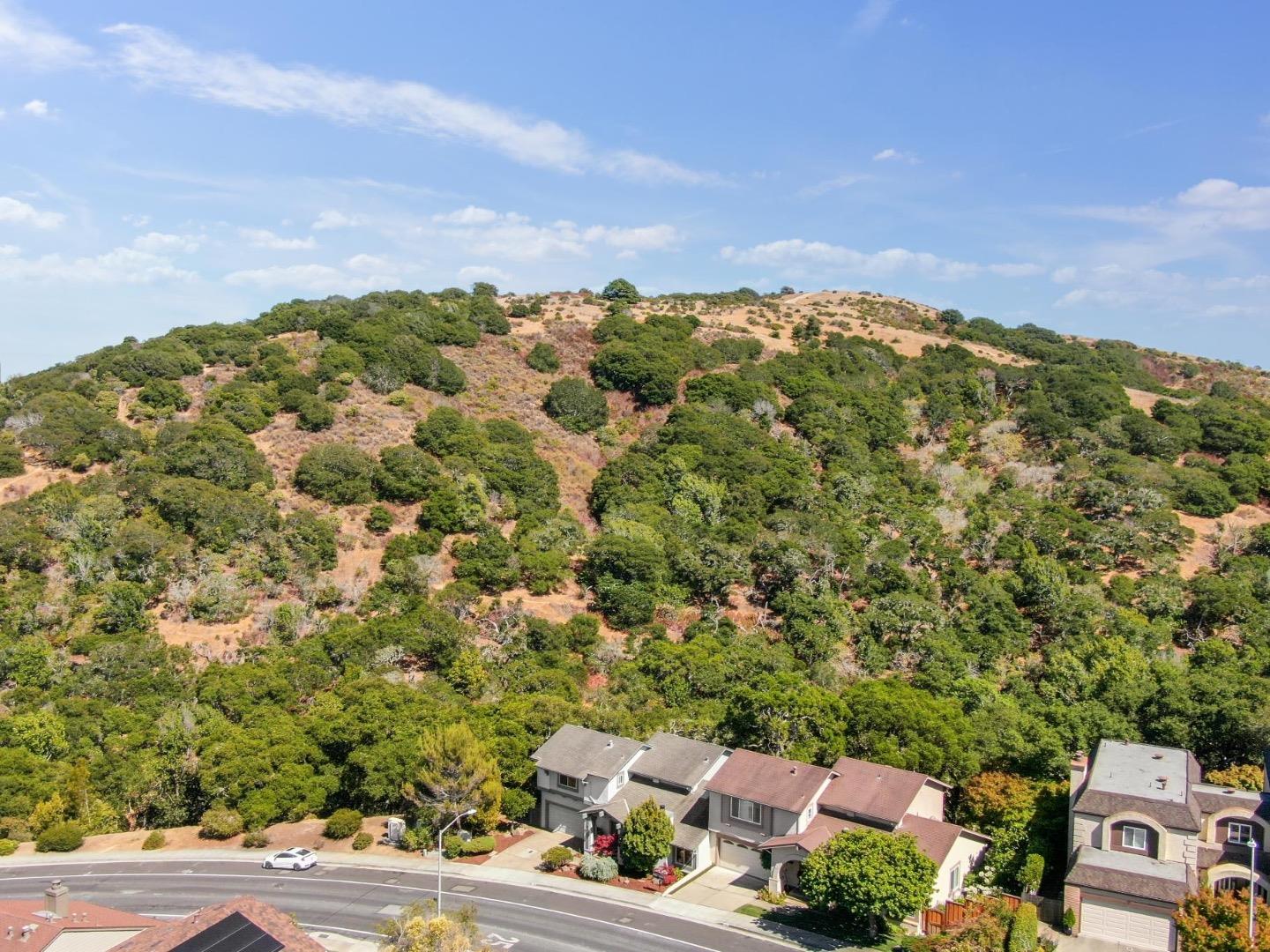 Detail Gallery Image 82 of 103 For 1501 De Anza Blvd, San Mateo,  CA 94403 - 3 Beds | 2/1 Baths