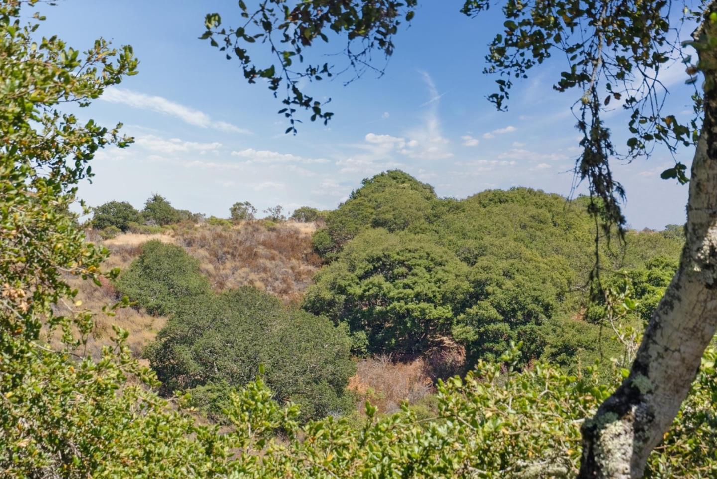 Detail Gallery Image 89 of 103 For 1501 De Anza Blvd, San Mateo,  CA 94403 - 3 Beds | 2/1 Baths