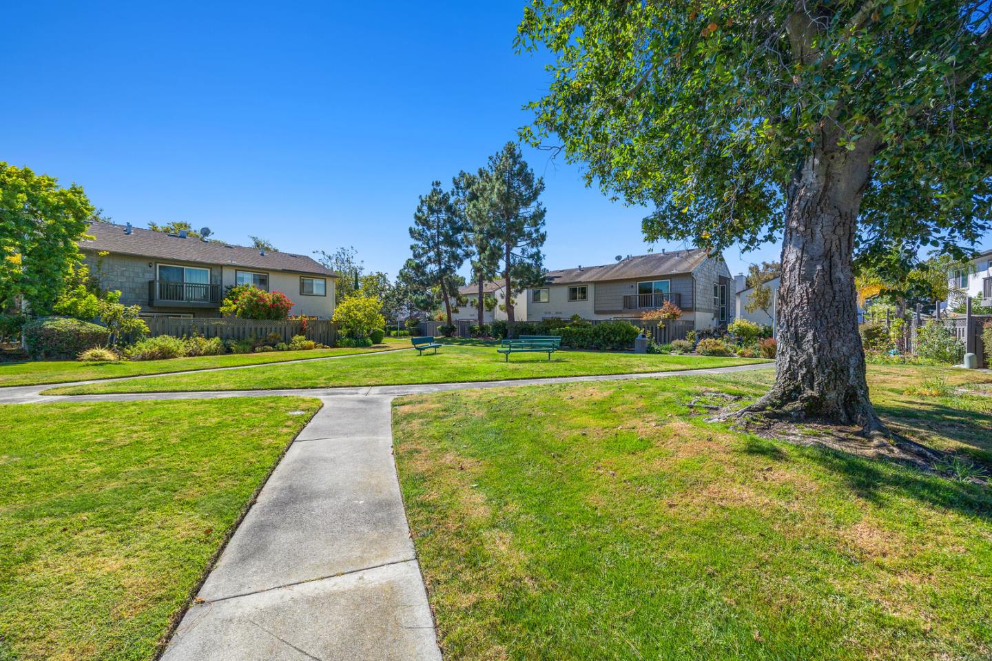 Detail Gallery Image 16 of 27 For 825 Cortez Ln, Foster City,  CA 94404 - 3 Beds | 2/1 Baths