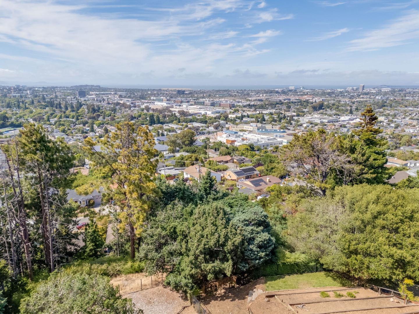Detail Gallery Image 26 of 79 For 308 42nd Ave, San Mateo,  CA 94403 - 4 Beds | 2/1 Baths