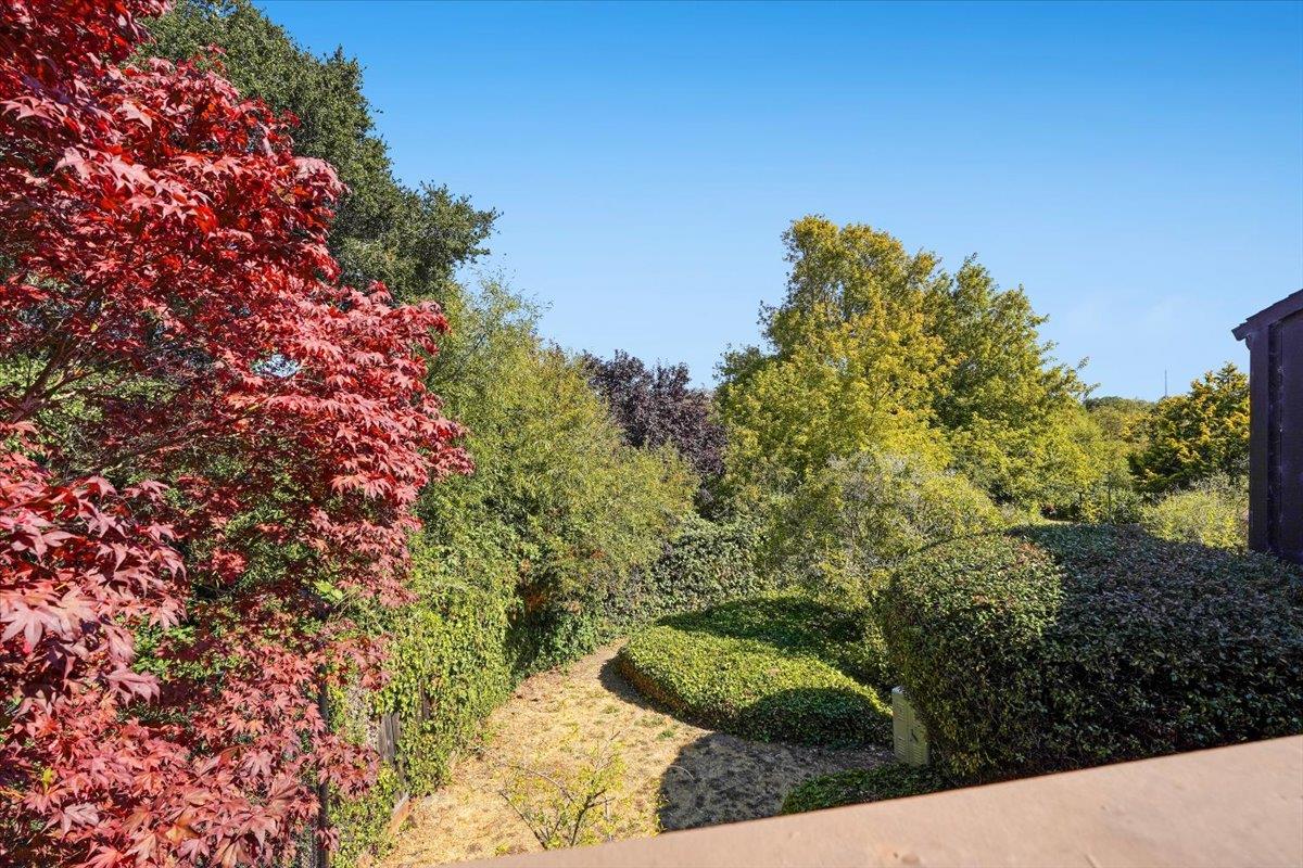 Detail Gallery Image 36 of 49 For 113 Tree Frog Ln, Santa Cruz,  CA 95060 - 2 Beds | 1/1 Baths