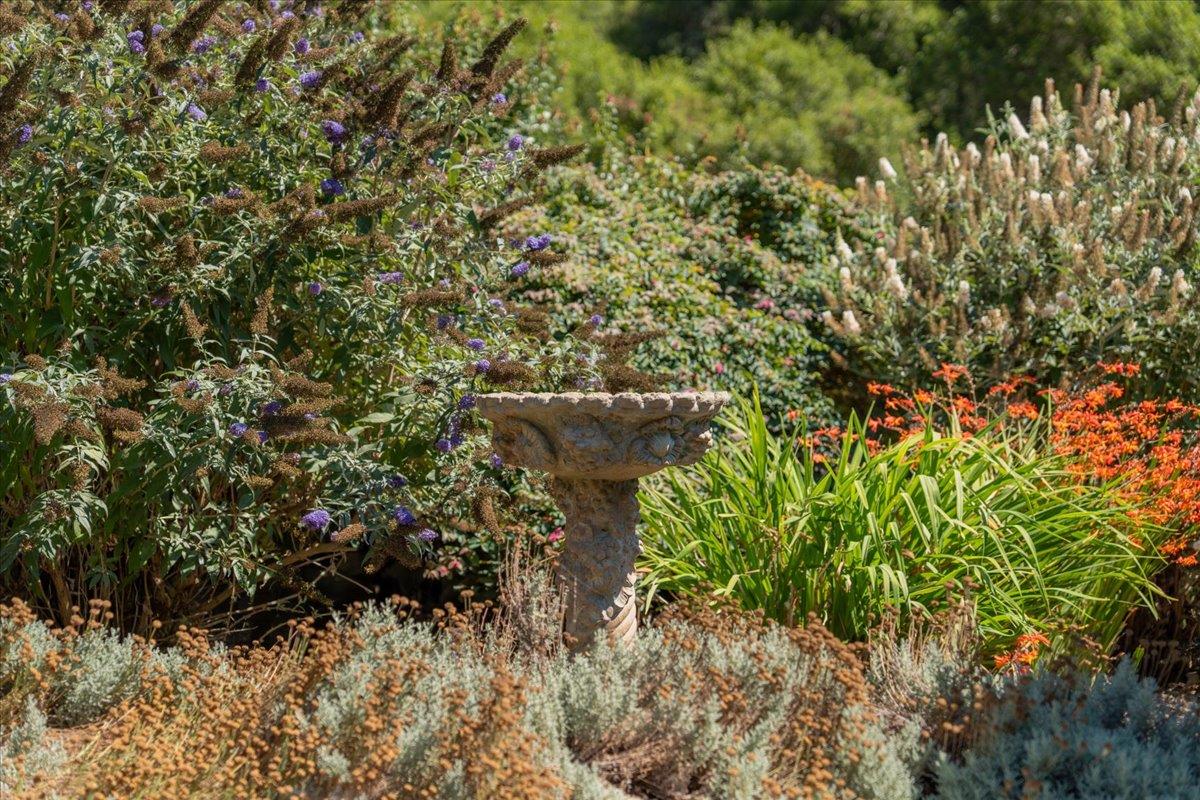 Detail Gallery Image 65 of 72 For 4711 Old San Jose Rd, Soquel,  CA 95073 - 3 Beds | 2/1 Baths