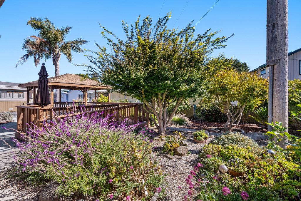 Detail Gallery Image 25 of 30 For 2355 Brommer St #44,  Santa Cruz,  CA 95062 - 2 Beds | 2 Baths