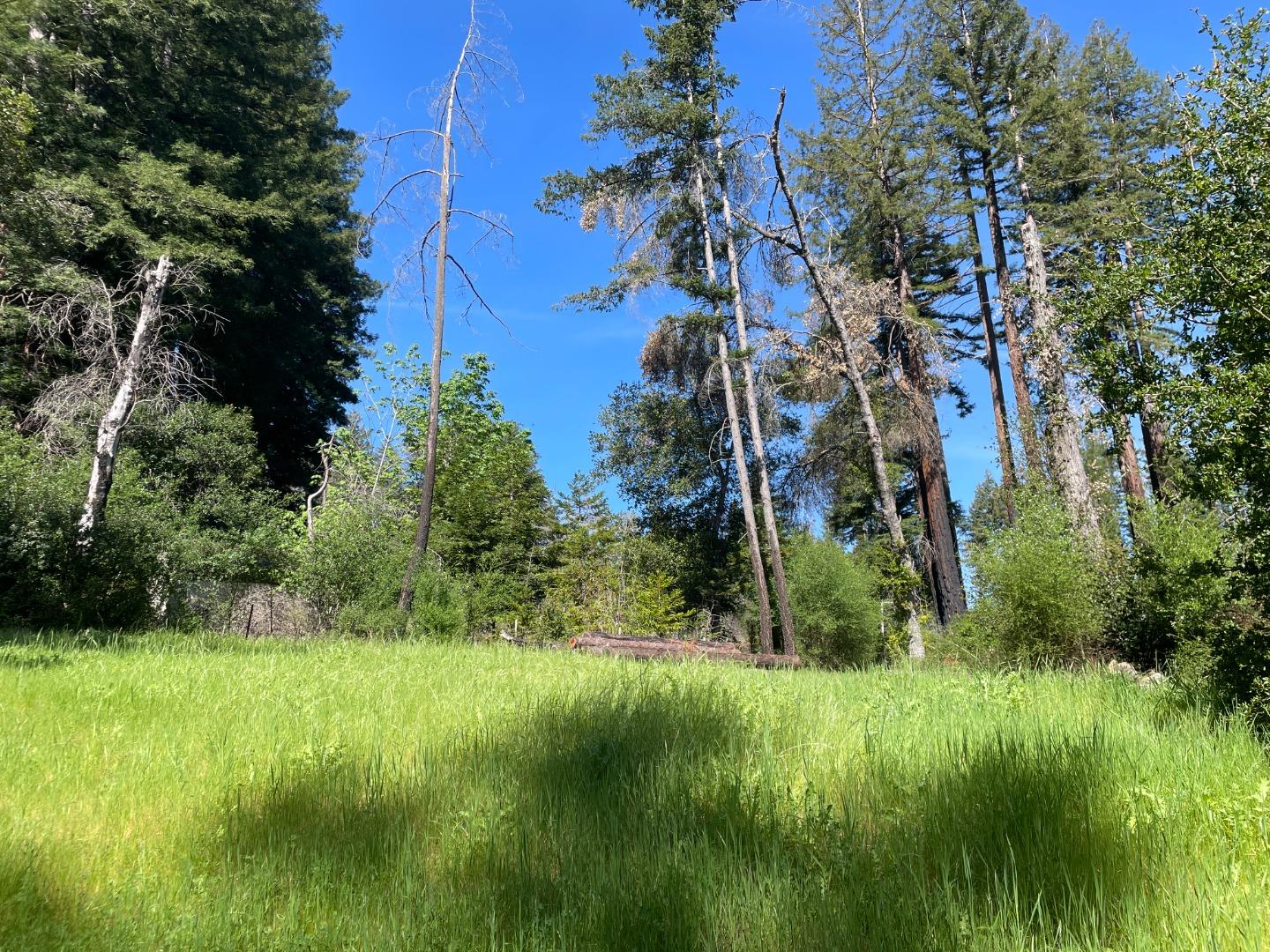 Detail Gallery Image 32 of 33 For 500 Wildberry Dr, Boulder Creek,  CA 95006 - – Beds | – Baths