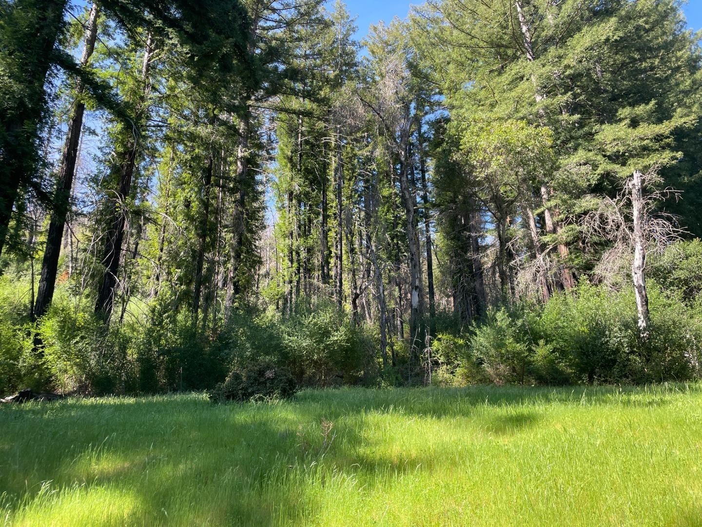 Detail Gallery Image 33 of 33 For 500 Wildberry Dr, Boulder Creek,  CA 95006 - – Beds | – Baths