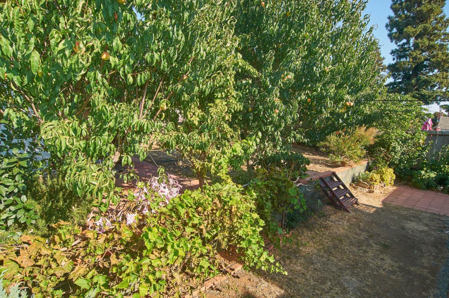 Detail Gallery Image 69 of 76 For 506 Annette Ave, Vallejo,  CA 94591 - 2 Beds | 1 Baths