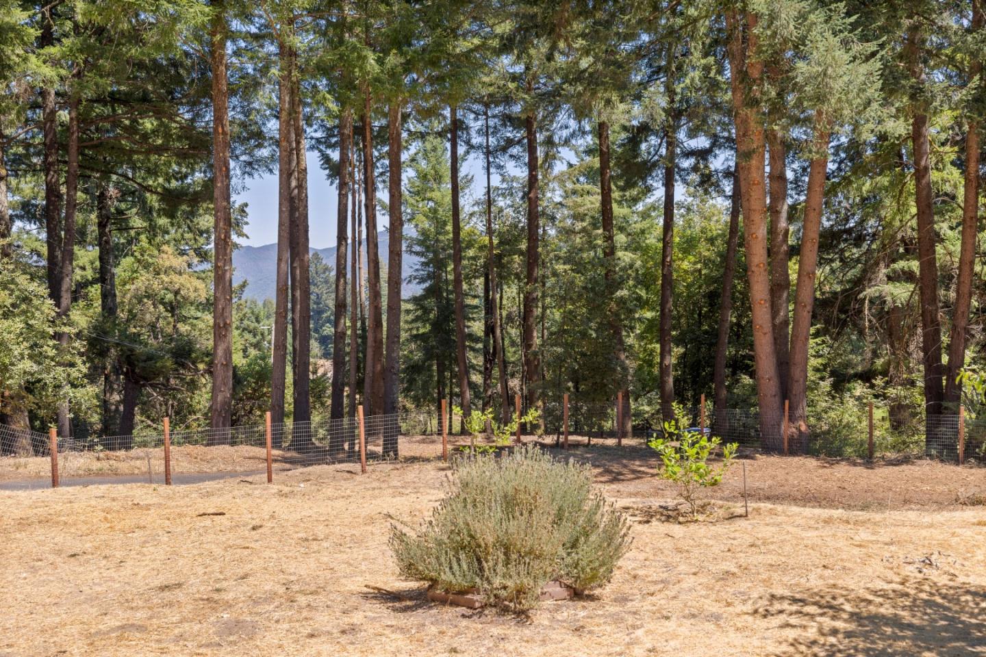Detail Gallery Image 51 of 62 For 19850 Skyline Blvd, Los Gatos,  CA 95033 - 3 Beds | 2/1 Baths